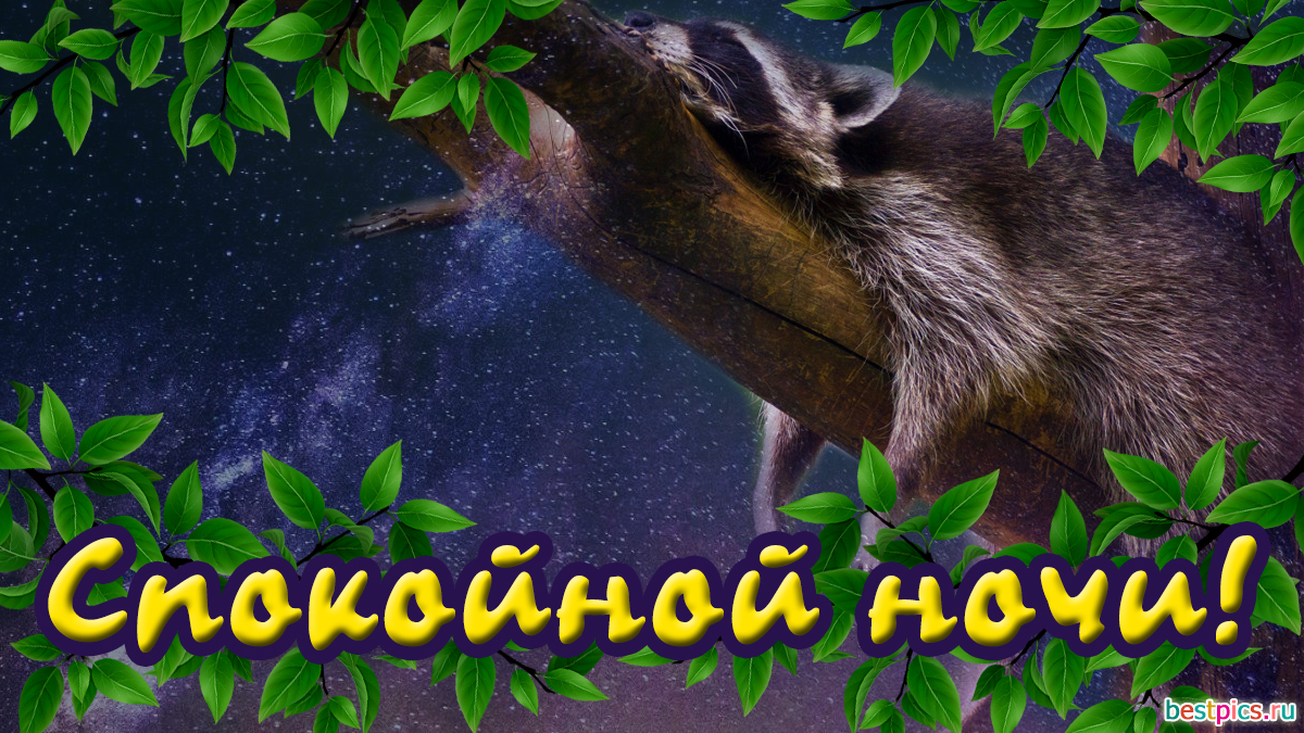 Картинка спокойной ночи