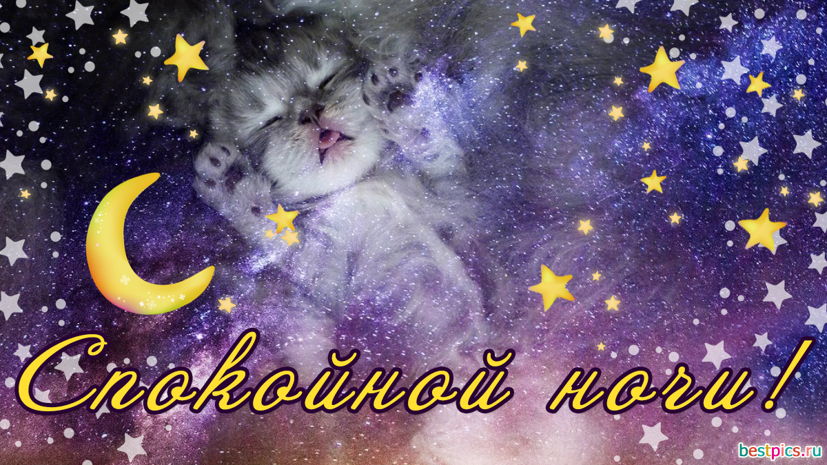 Спокойной ночи с котенком