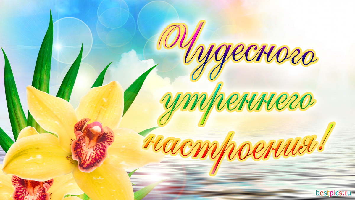 Чудесного утреннего настроения