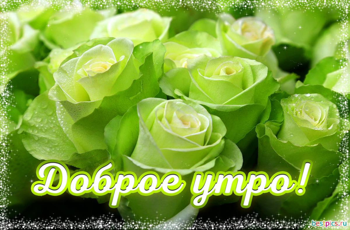 Доброе утро!