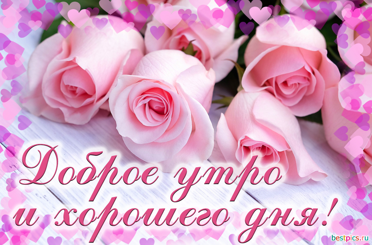 Доброе утро и хорошего дня!
