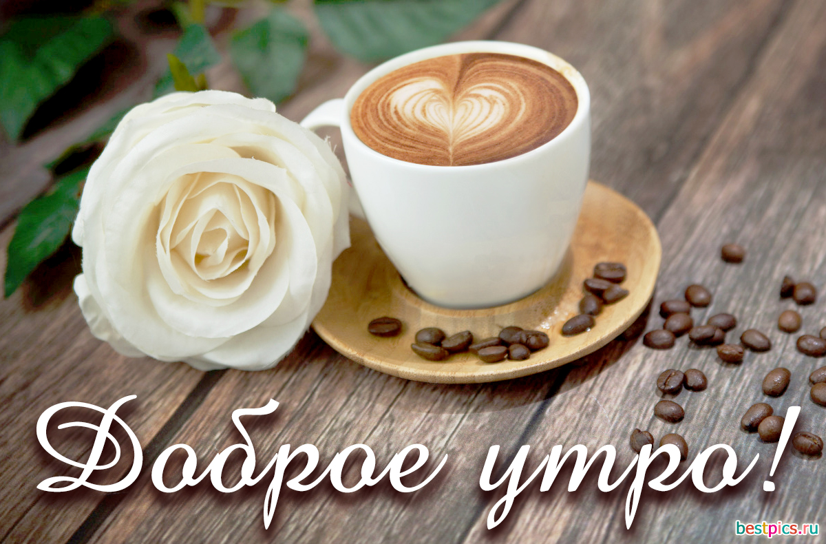 Доброе утро!