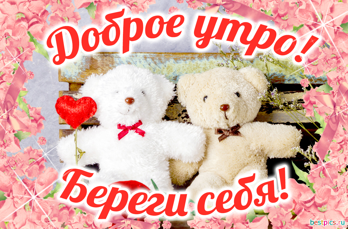 Доброе утро ! Береги себя !