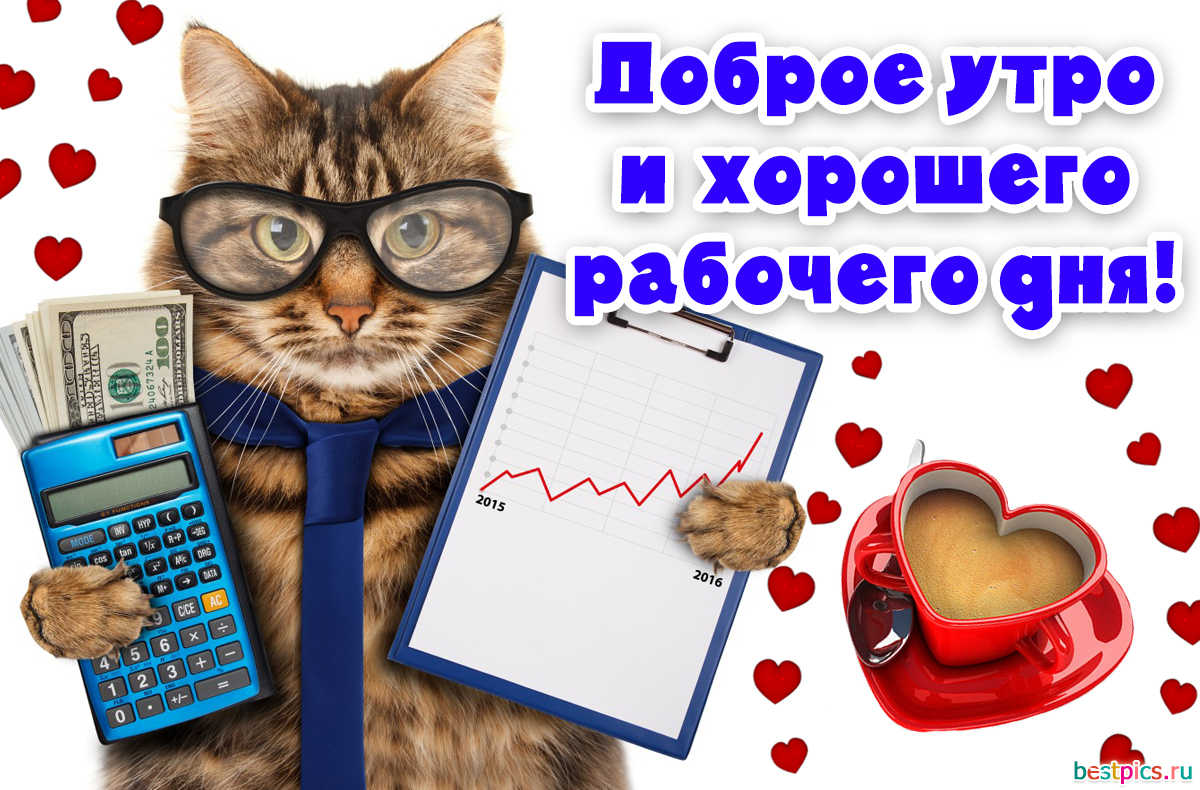 Доброе утро и хорошего рабочего дня!
