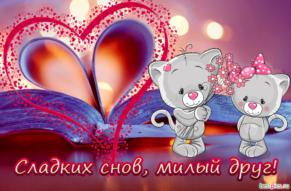 Сладких снов, милый друг!
