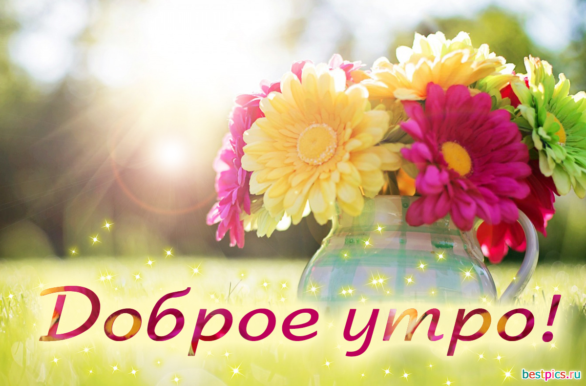 Доброе утро ! Открытка с герберами