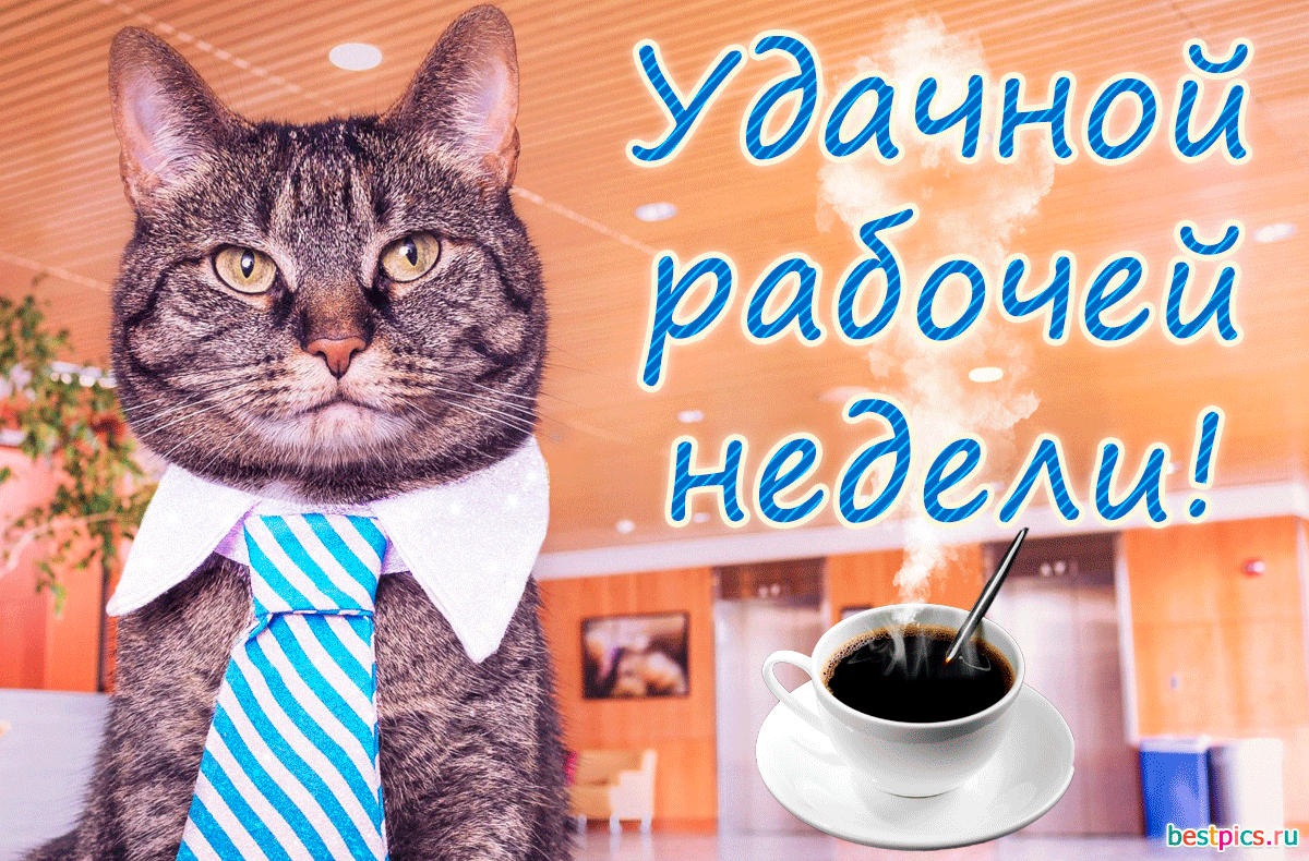 Удачной рабочей недели! (Анимация)