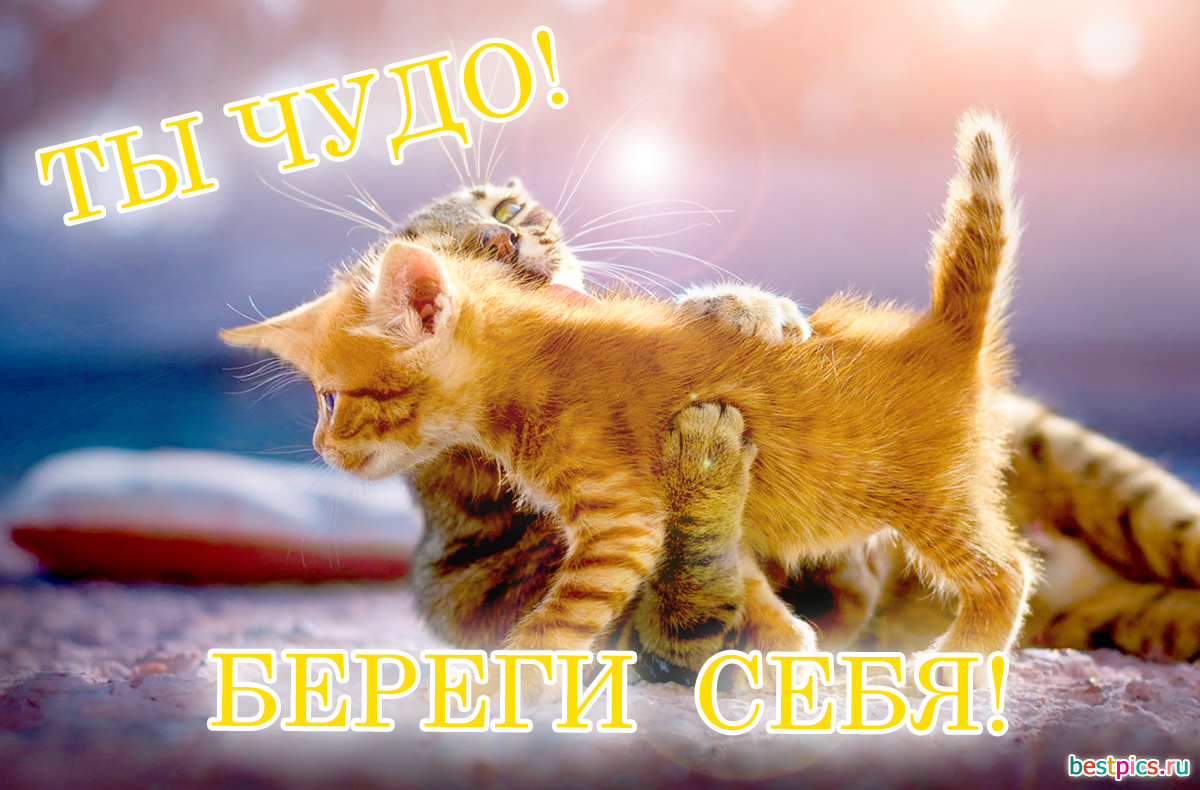 Ты чудо ! Береги себя !