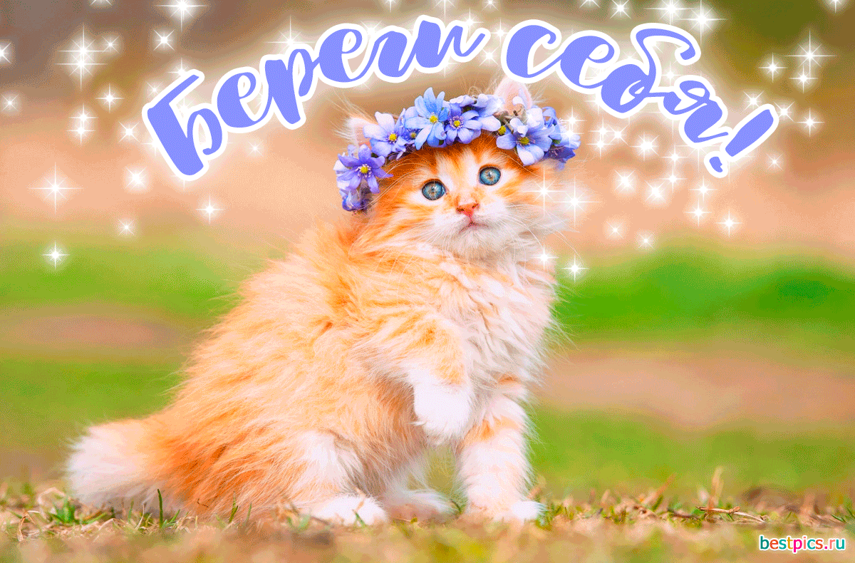 Береги себя! (Анимация)