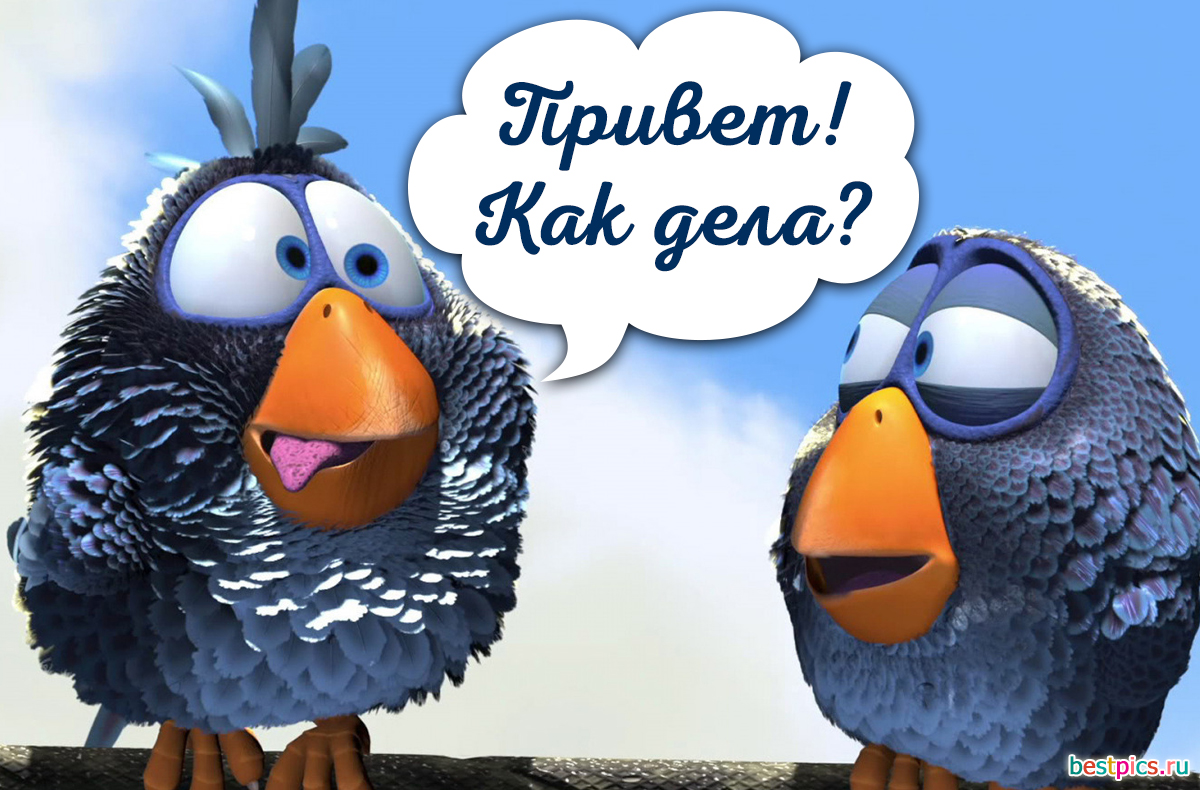 Привет! Как дела?