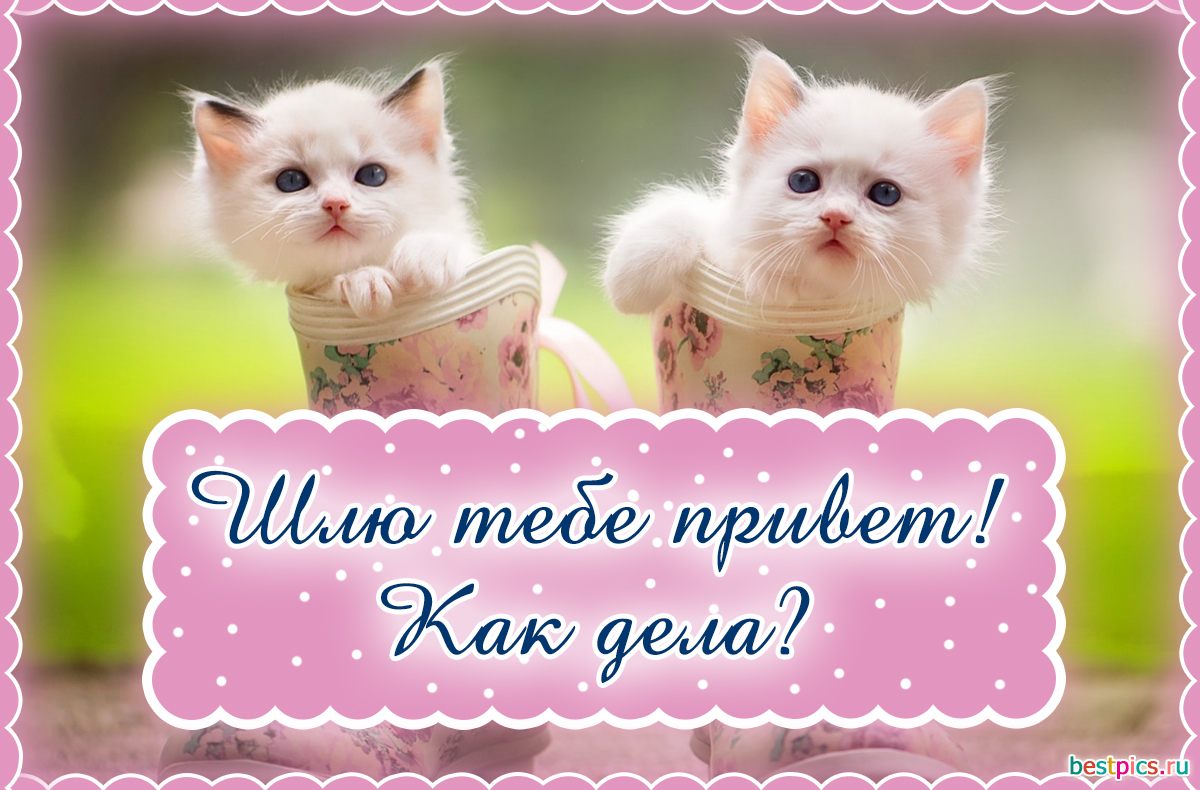 Шлю тебе привет! Как дела?
