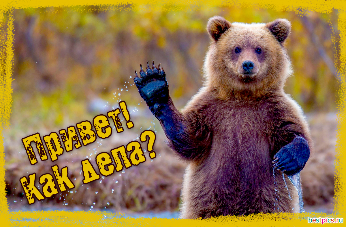 Привет! Как дела?