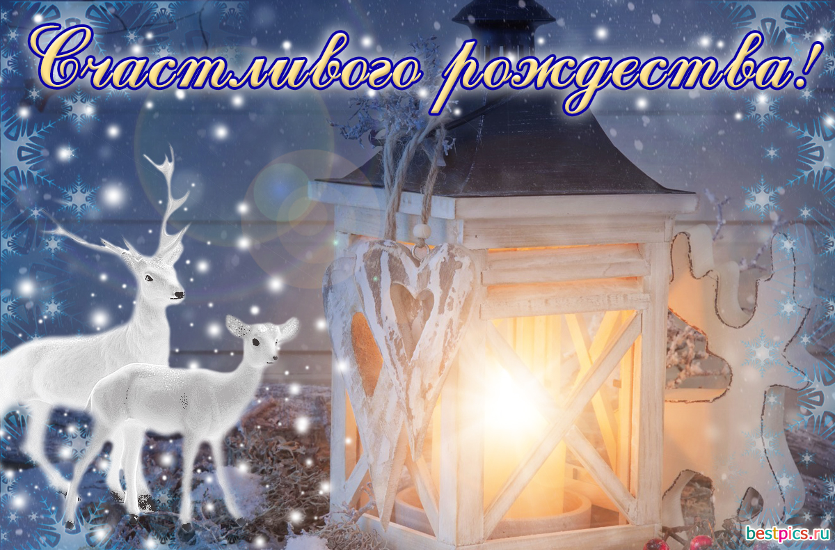 Счастливого рождества!