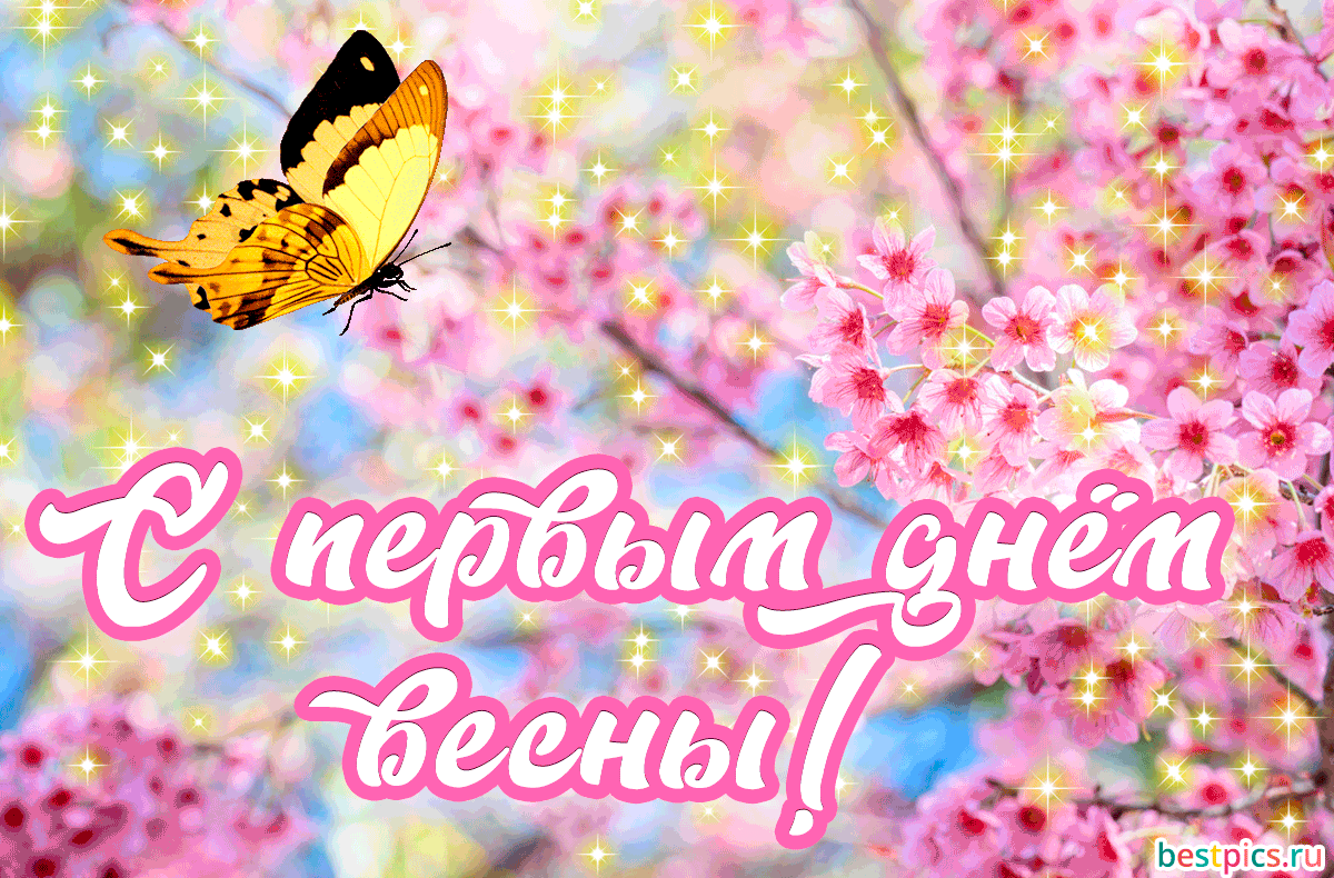 С первым днём весны! (гифка)